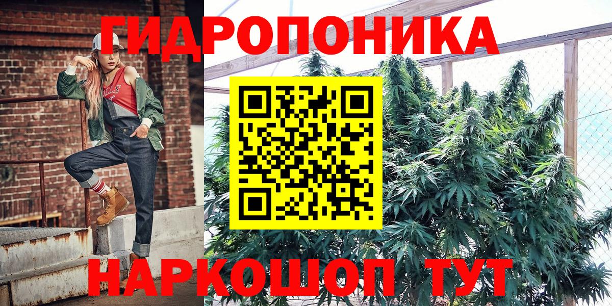 Муравленко  МАРИХУАНА план  Каннабис SATIVA & INDICA  Вход с VPN 